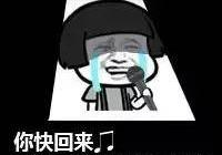 雪铁龙,英朗,探歌,福克斯,哈弗