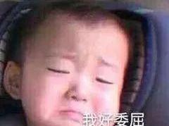 雪铁龙,英朗,探歌,福克斯,哈弗