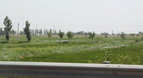 哈弗,斯巴鲁