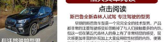 斯巴鲁,森林人,发现,傲虎