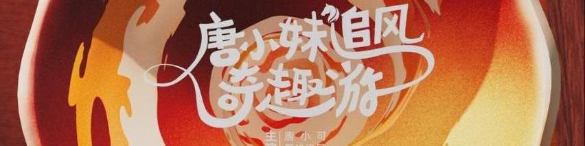星途,星途追风,御风,型格,现代