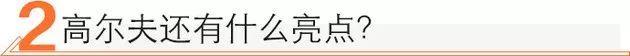 高尔夫,大众,DS,奥迪,奥迪A3