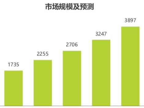 特斯拉,世纪