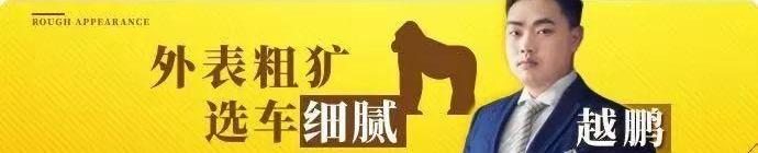 长安,逸动,缤瑞,鲸,比亚迪