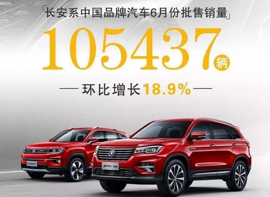 长安,马自达,福特,鲸,福克斯