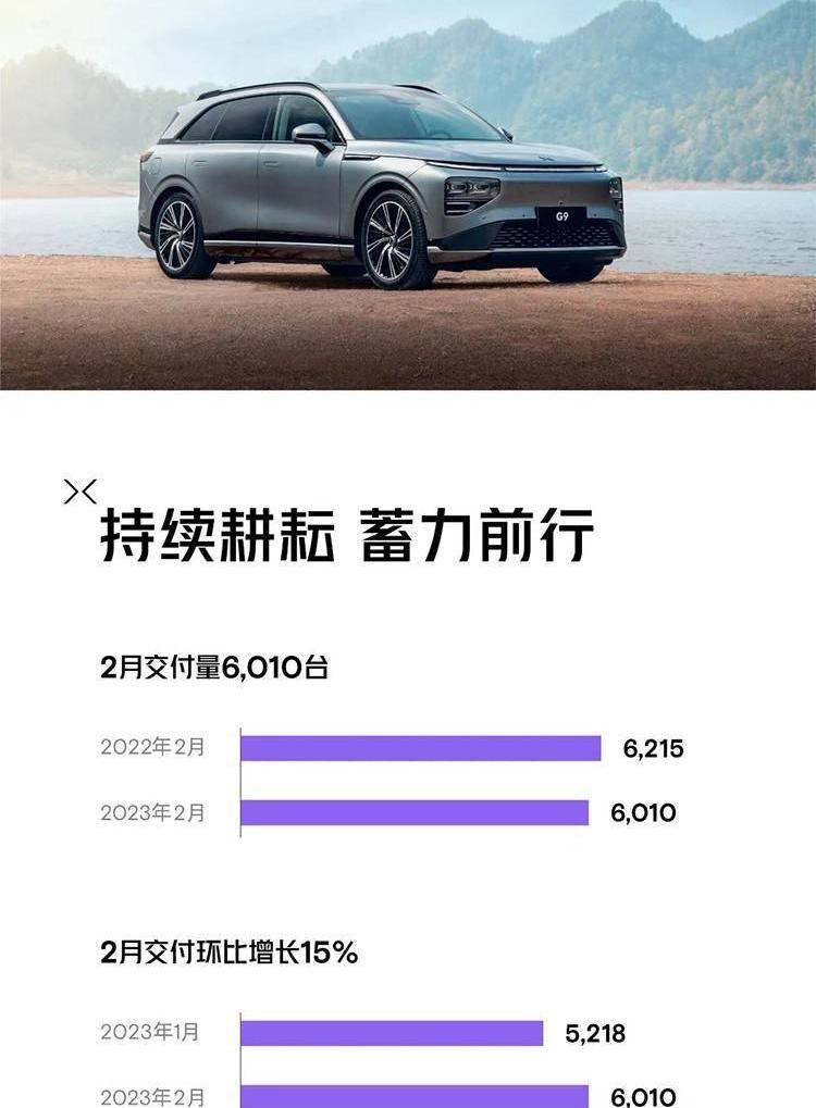 小鹏,极氪,蔚来,岚图汽车,理想汽车