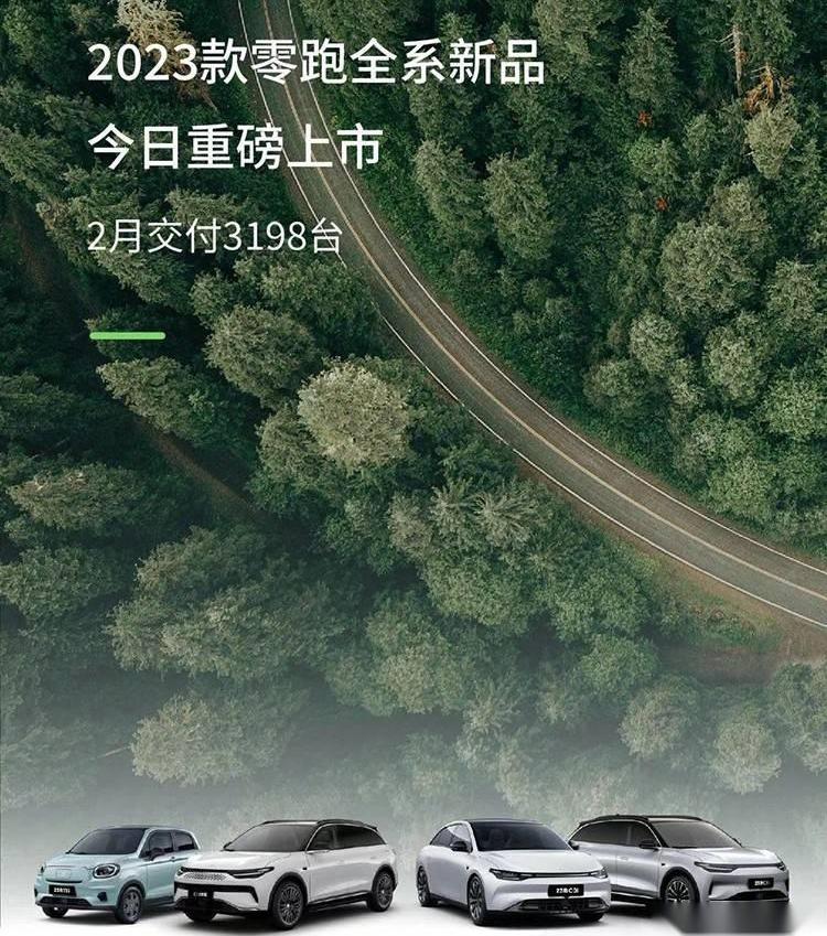 小鹏,极氪,蔚来,岚图汽车,理想汽车