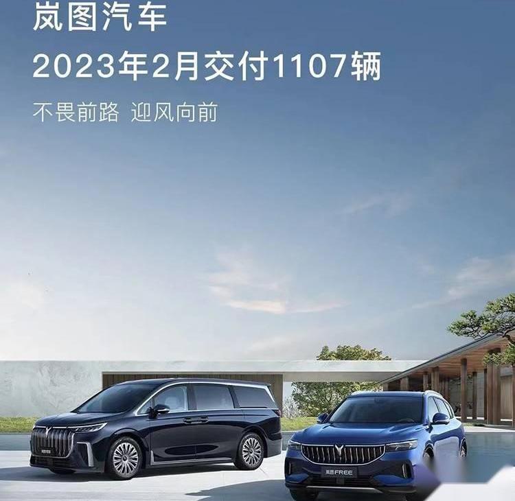小鹏,极氪,蔚来,岚图汽车,理想汽车