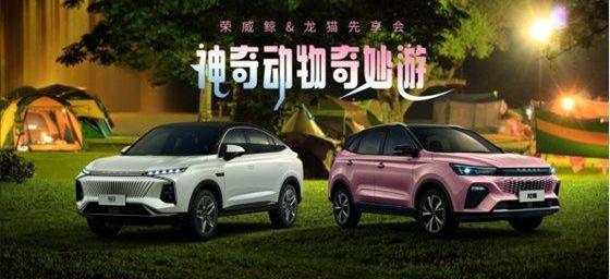 荣威,鲸,龙猫,威龙,天籁