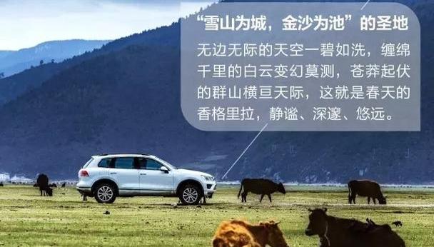 大众,高尔夫,777,途锐