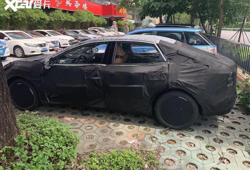 丰田,比亚迪,卡罗拉