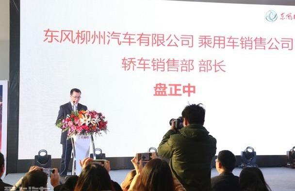 景逸S50,东风,东风风行,标致,标致408