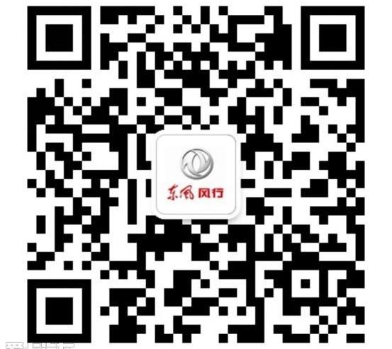 东风风行,东风,宝骏
