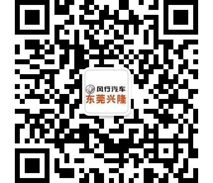 东风风行,东风,保时捷,长安,途锐