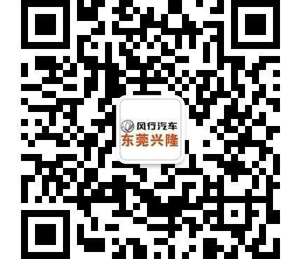 长安,东风风行,东风,三菱