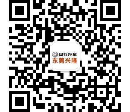 景逸S50,东风风行,东风,发现