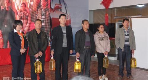 东风风行,东风,现代