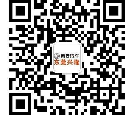 东风风行,东风,三菱