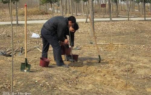 菱智,丰田,东风,别克,标致
