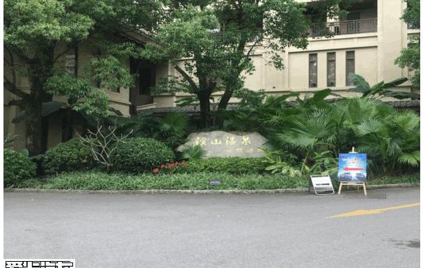 东风,东风风行
