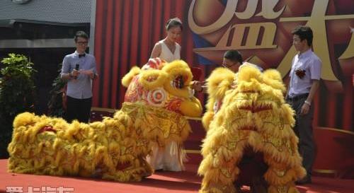 东风,东风风行,现代,世纪,长城