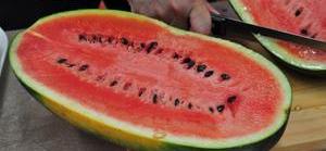 东风风行,东风,理念,三菱