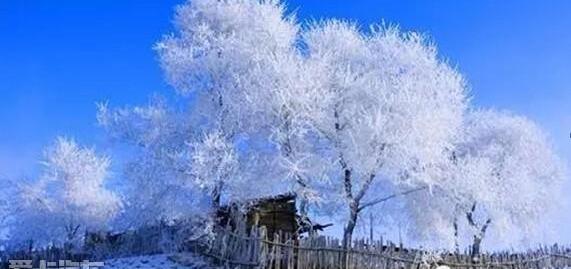 D-MAX,五十铃,东南