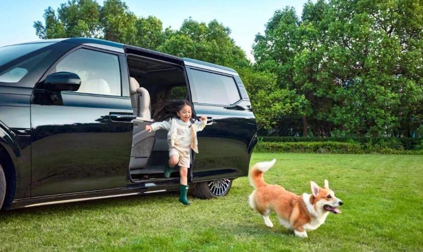 极氪,理念,腾势,腾势D9,埃尔法