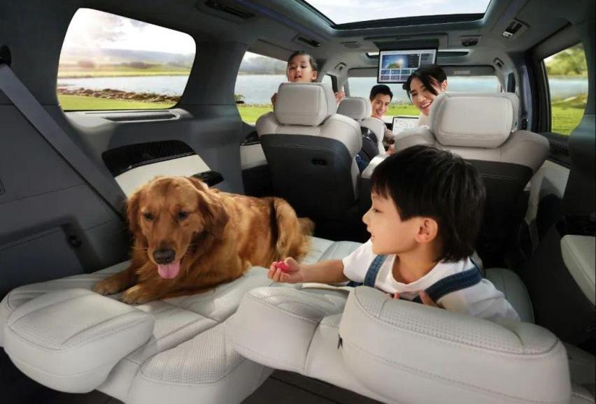 极氪,理念,腾势,腾势D9,埃尔法