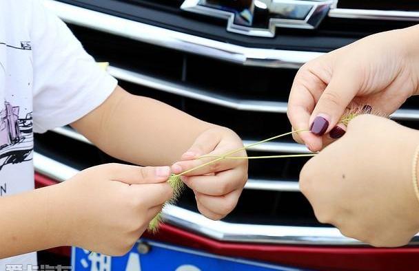 探界者,雪佛兰,福克斯,荣威,标致