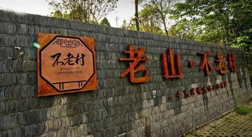 享域,卡罗拉,雅阁,本田,思域