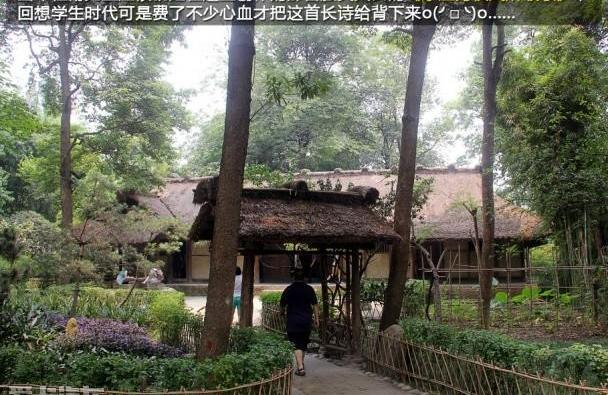 世纪,奔驰