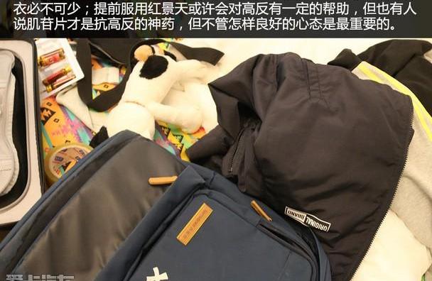 东风,雪铁龙