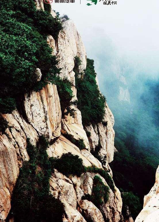 东南,现代,盛唐,汉,仰望