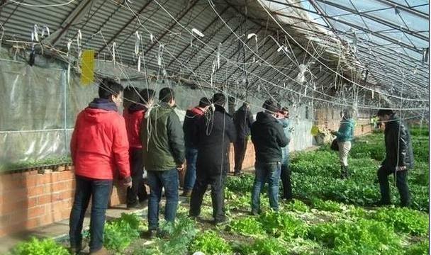 大众,途锐,炮