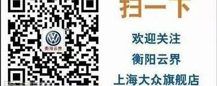 大众,朗逸,Polo,帕萨特,途锐