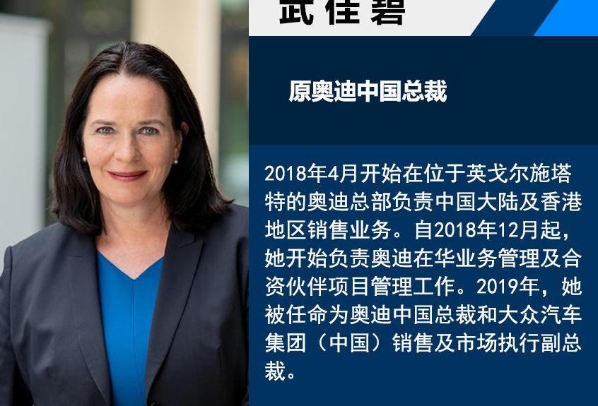 奥迪,长安,现代,大众,北京