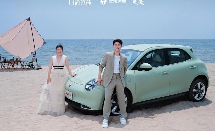 欧拉好猫,欧拉,理念,远程