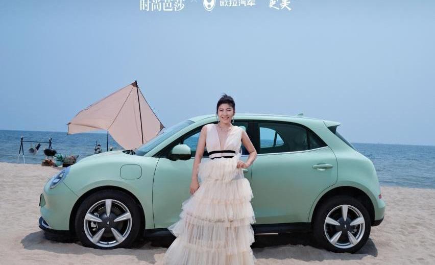 欧拉好猫,欧拉,理念,远程