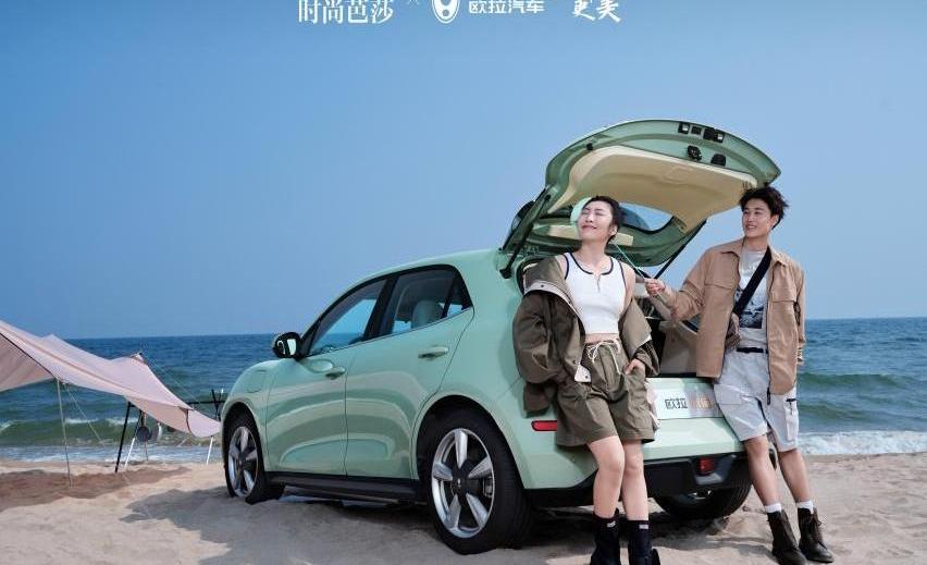 欧拉好猫,欧拉,理念,远程