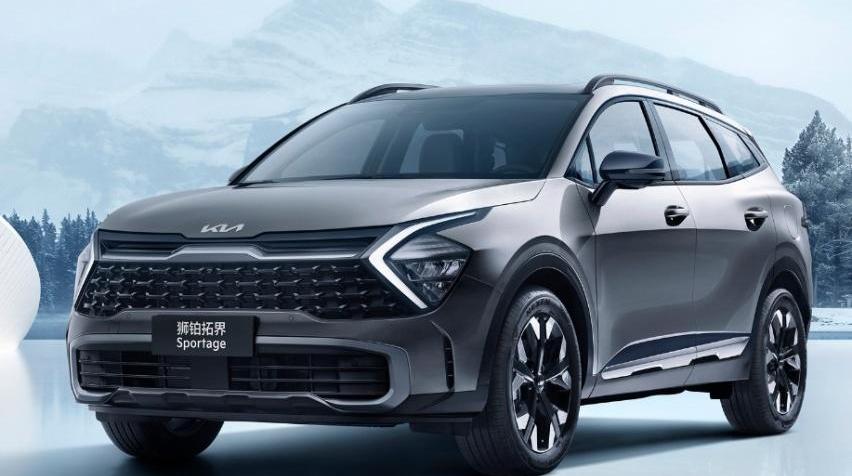 奔驰,汉兰达,汉,狮铂拓界,Model Y