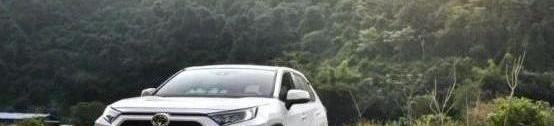 星途,星途凌云,RAV4荣放,远程,丰田