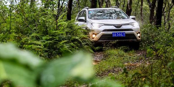 RAV4荣放,丰田,世纪,汉