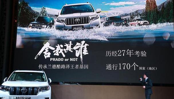 丰田,一汽,RAV4荣放,DS,前途
