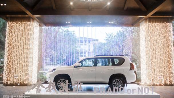 丰田,一汽,RAV4荣放,DS,皇冠