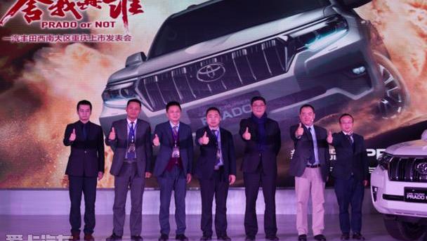 丰田,一汽,RAV4荣放,DS,皇冠