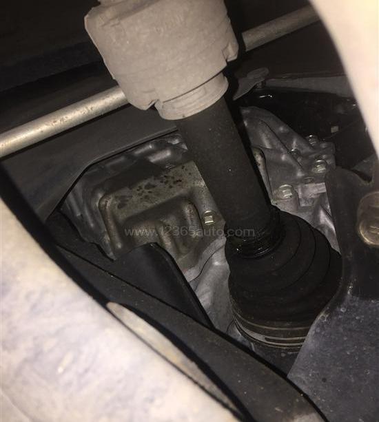 丰田,RAV4荣放,发现