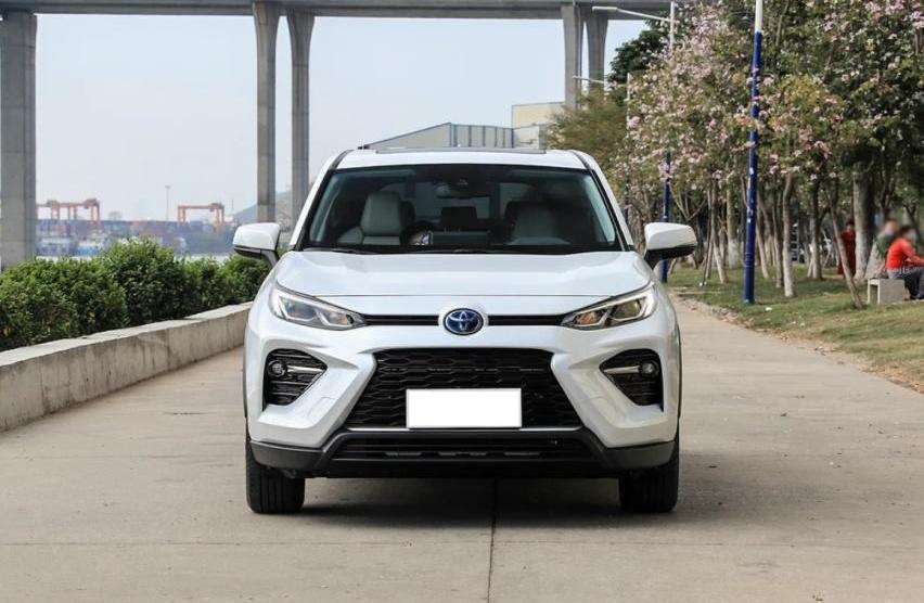 威兰达,RAV4荣放,丰田,汉兰达,汉