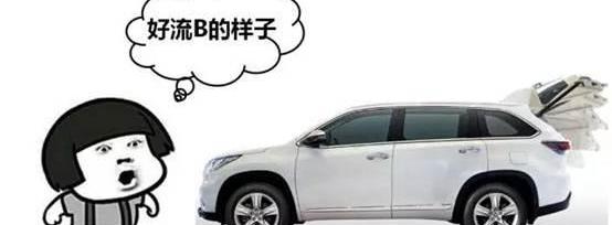 汉,丰田,远程