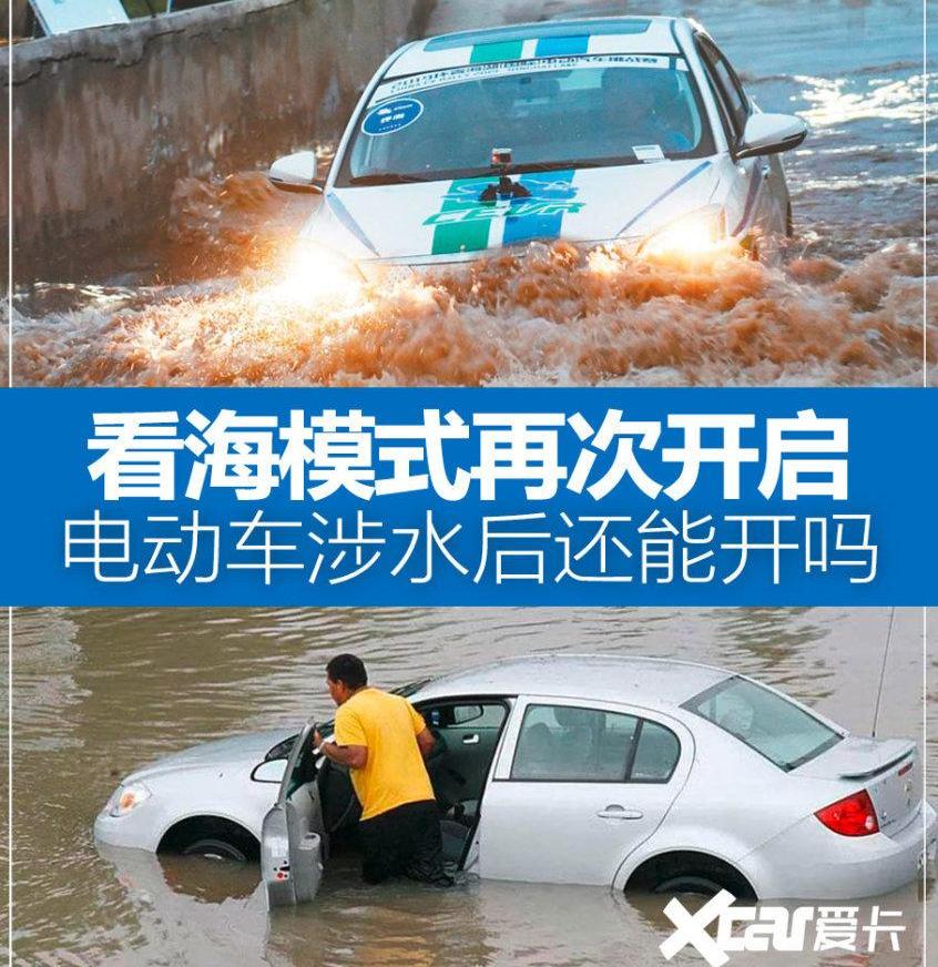 大众,汉兰达,哈弗,特斯拉,汉
